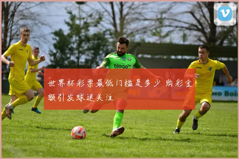 世界杯彩票最低门槛是多少 购彩金额引发球迷关注
