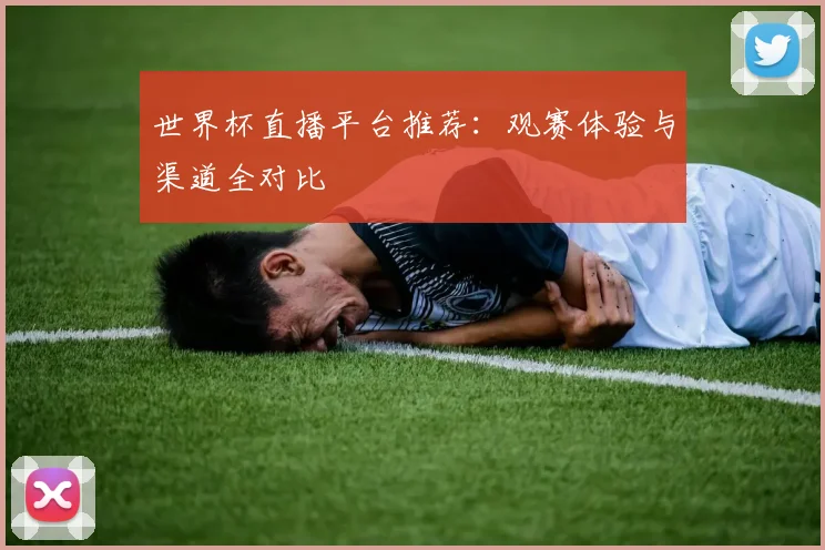 世界杯直播平台推荐:观赛体验与渠道全对比